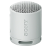 Sony SRS-XB100 Compact Wireless Bluetooth Speaker (Grey)